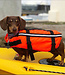 Typhoon Totland Dog Life Jacket