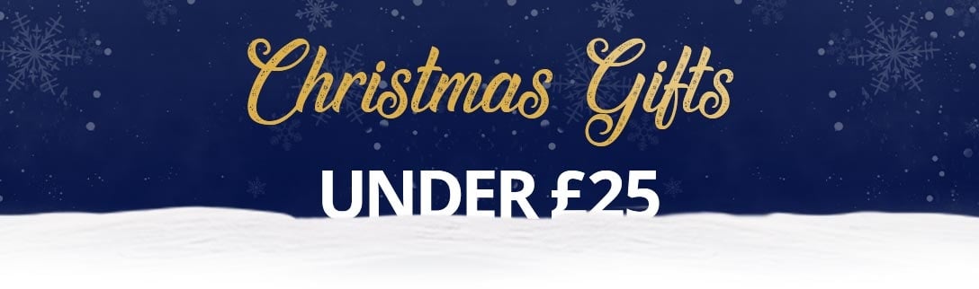 Christmas Gifts Under £25