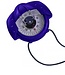 Plastimo Iris 50 Hand Bearing A/B Compass