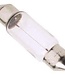 Festoon Bulbs 12V 10W