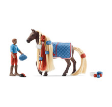 42586 Schleich Leo en rocky starter set