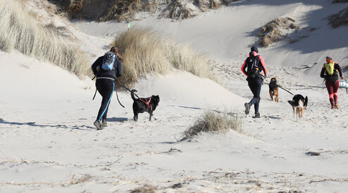 CANITRAIL – Dit moet je weten!