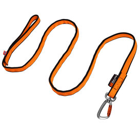 Non-stop Bungee Leash 2M