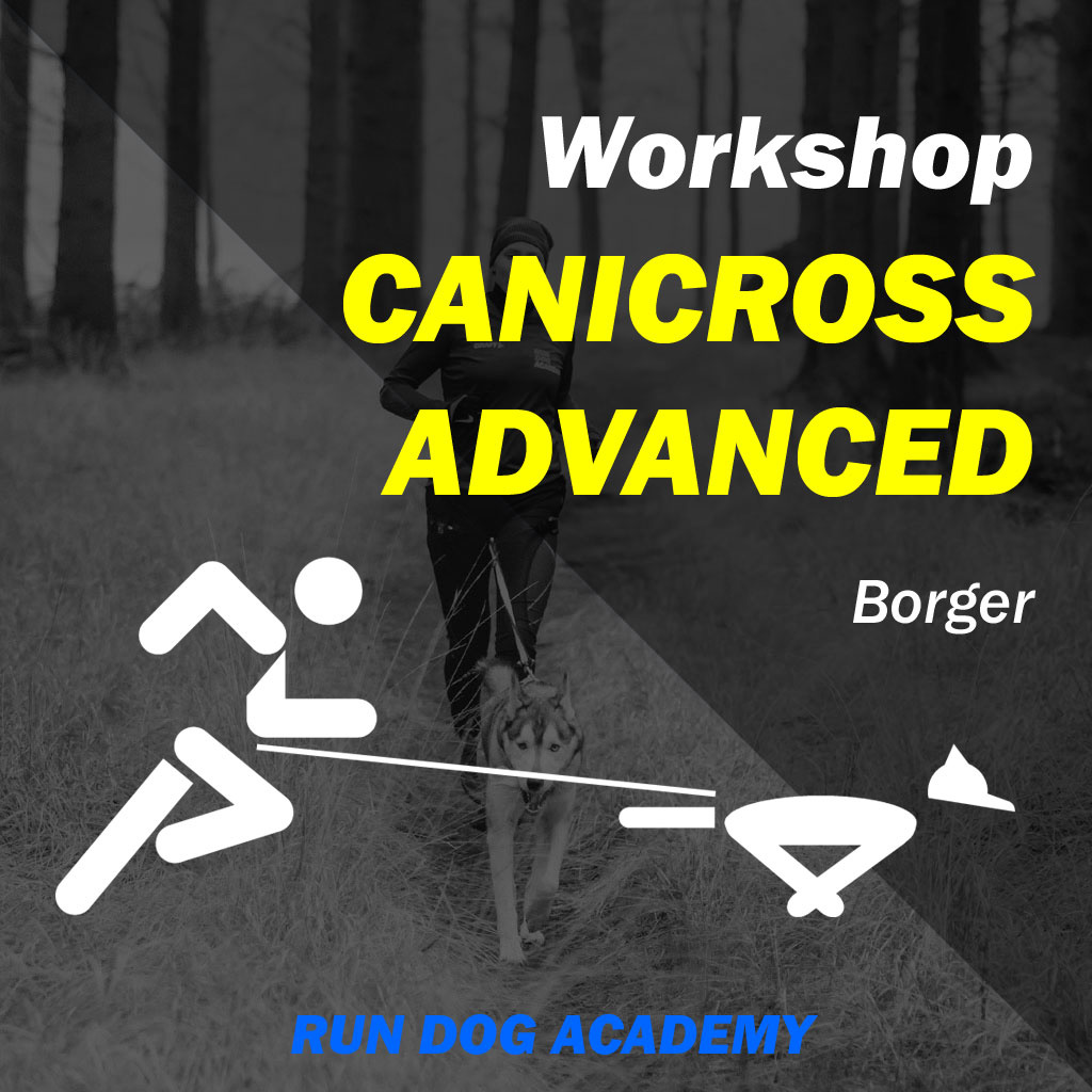 Workshop Canicross Advanced-1