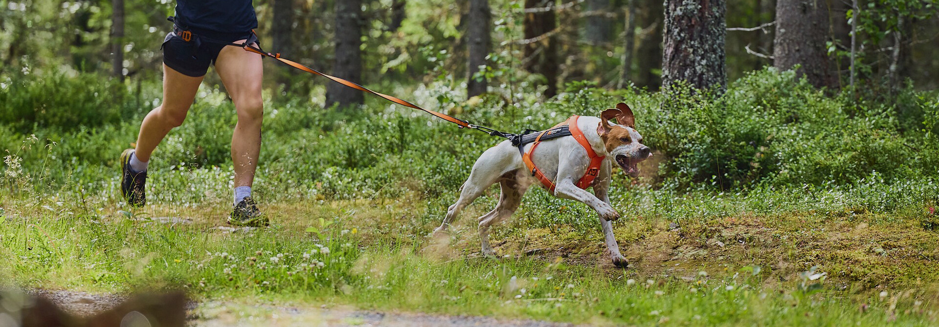 #2. 5 Canicross Basisvaardigheden