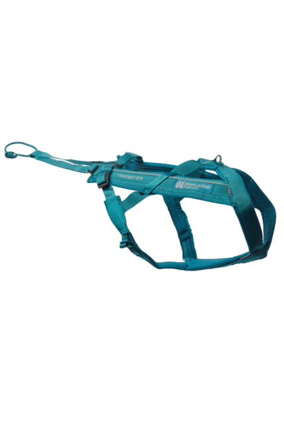 Harnais freemotion non stop dog wear pour chien de sport. Accessoire