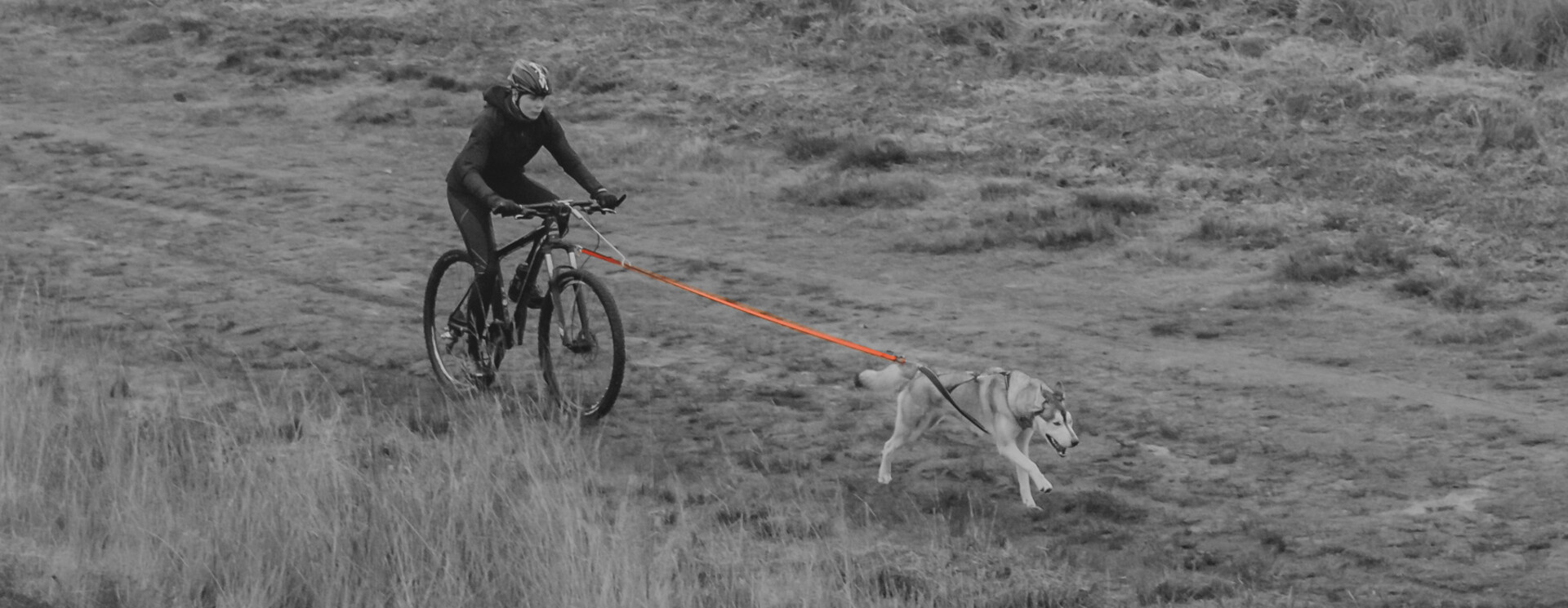 Bike- en stepjoring lijnen