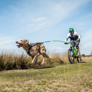 BIKEJORING