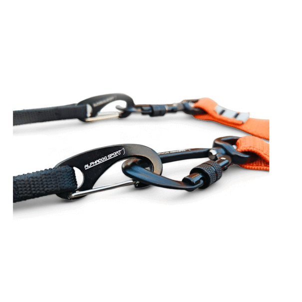 Alphadogsport Alphadogsport Pro+ D V2 Bungee Leash - Canicross