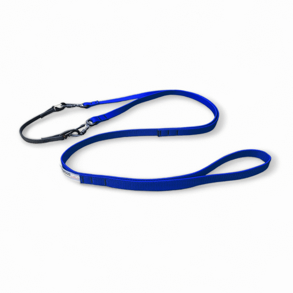 Alphadogsport Alphadogsport Pro+ D V2 Bungee Leash - Bike/Scooter