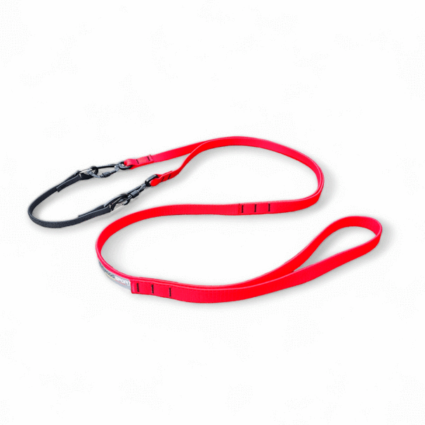 Alphadogsport Alphadogsport Pro+ D V2 Bungee Leash - Bike/Scooter