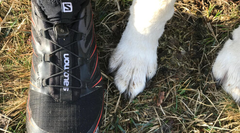 Hardlopen met je hond? - Begin met deze vraag