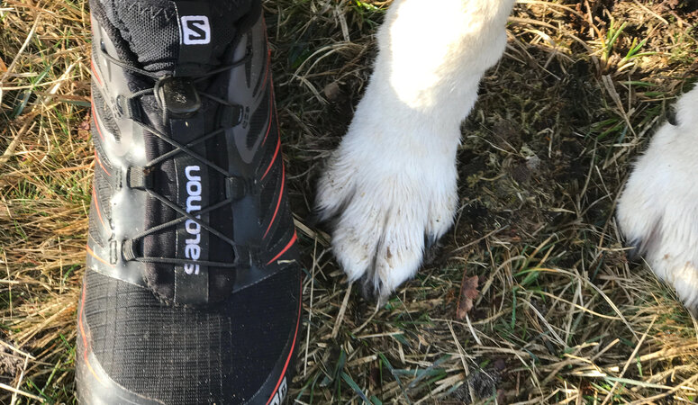 Hardlopen met je hond? - Begin met deze vraag