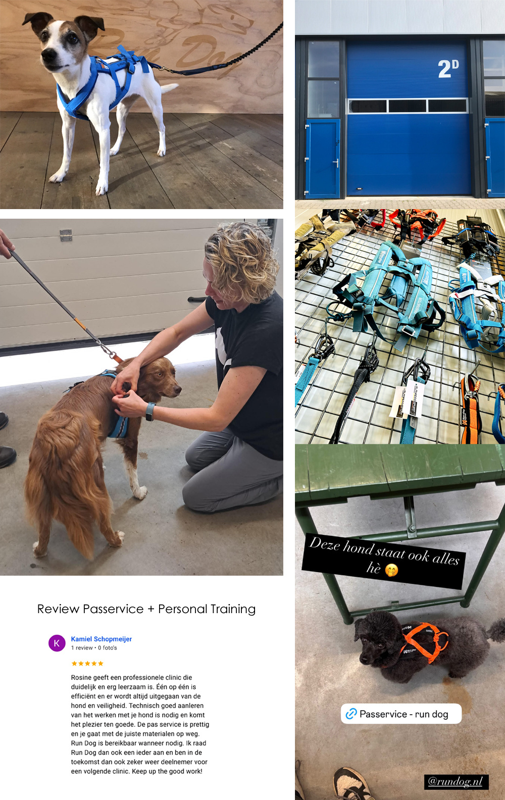 Passervice Run Dog