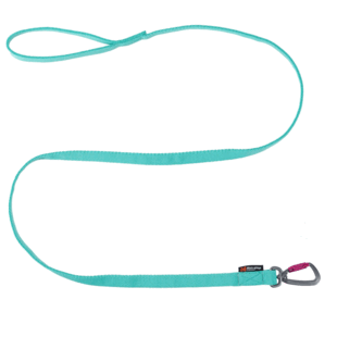 Non-stop Bungee Leash 2M