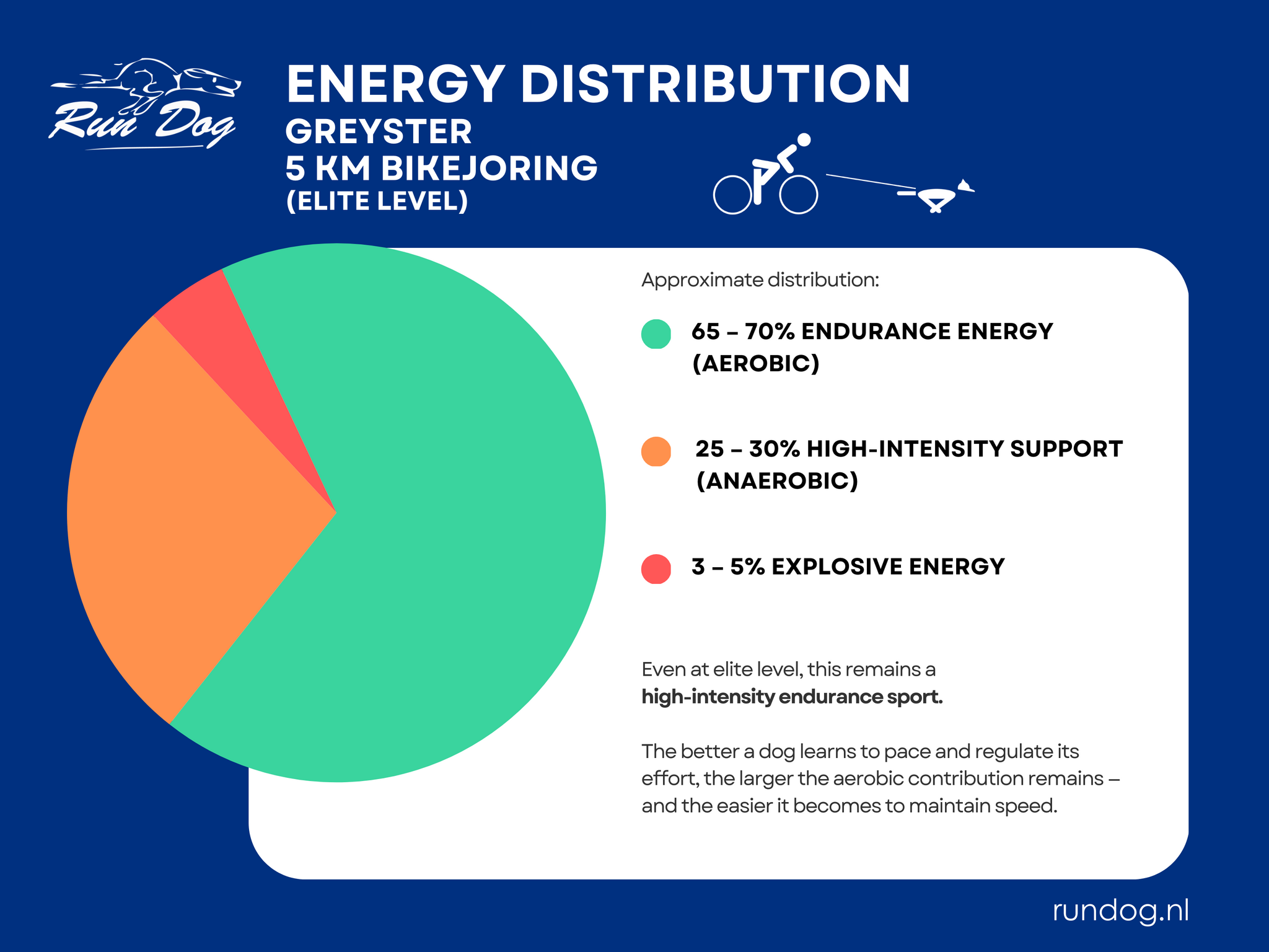Energieverdeling Greyster - 5 km bikejoring