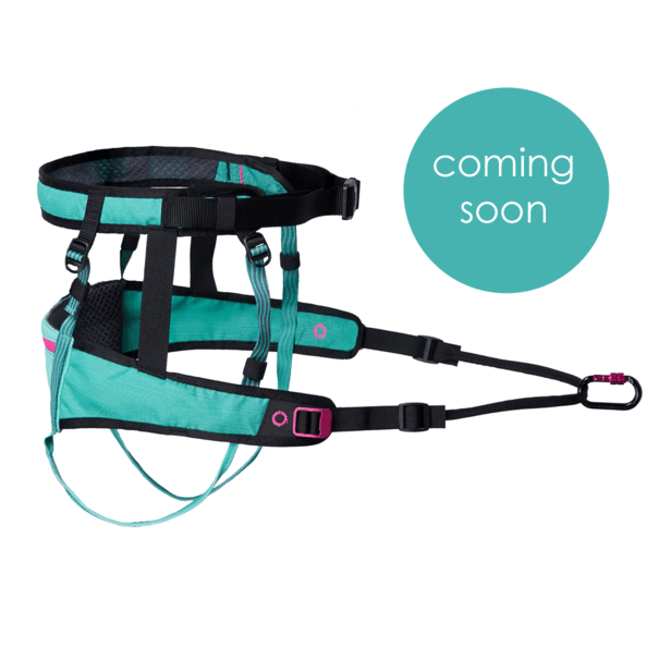 Non-stop dogwear Non-stop CaniX Belt 2.0