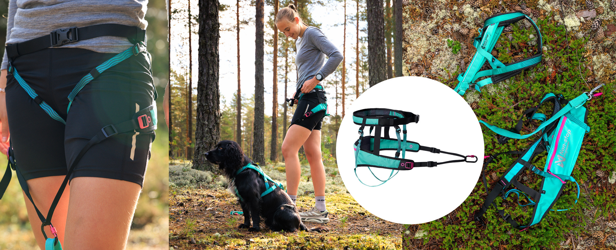 Non-stop CaniX Belt 2.0 Aqua