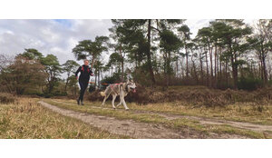 Canicrosstechniek: de biomechanica van aanleuning