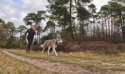 Canicrosstechniek: de biomechanica van aanleuning
