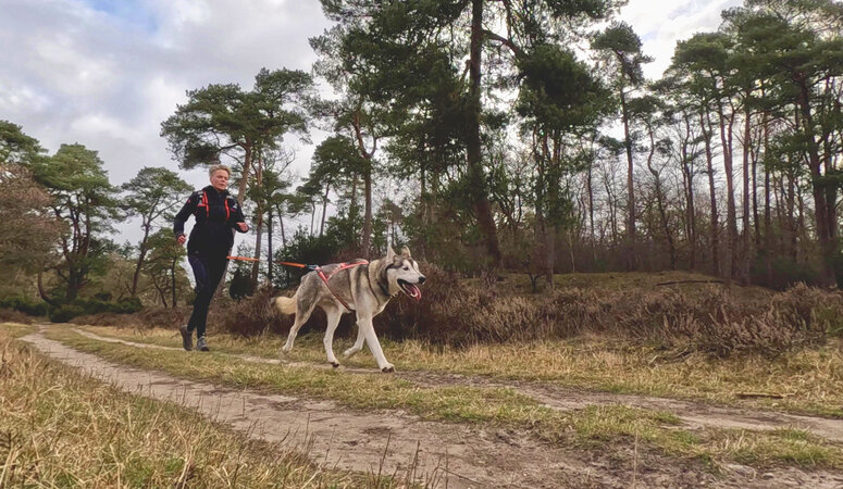 Canicrosstechniek: de biomechanica van aanleuning