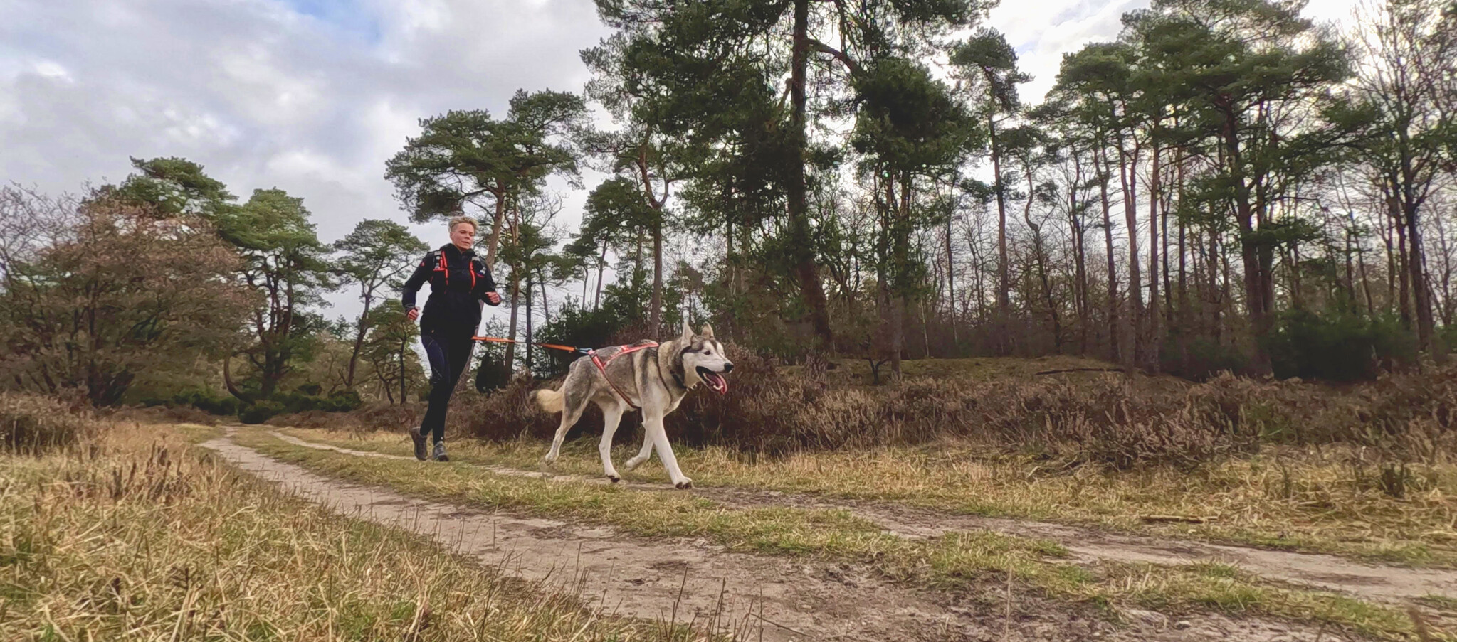 Canicrosstechniek: de biomechanica van aanleuning