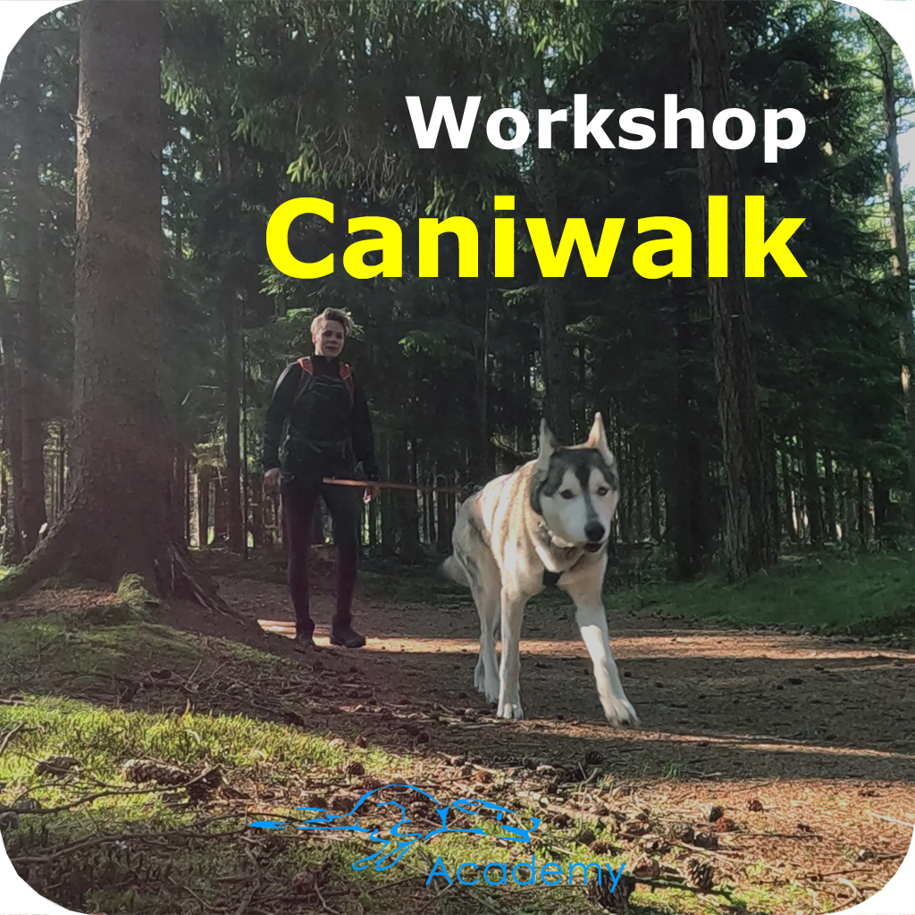 Workshop Caniwalk