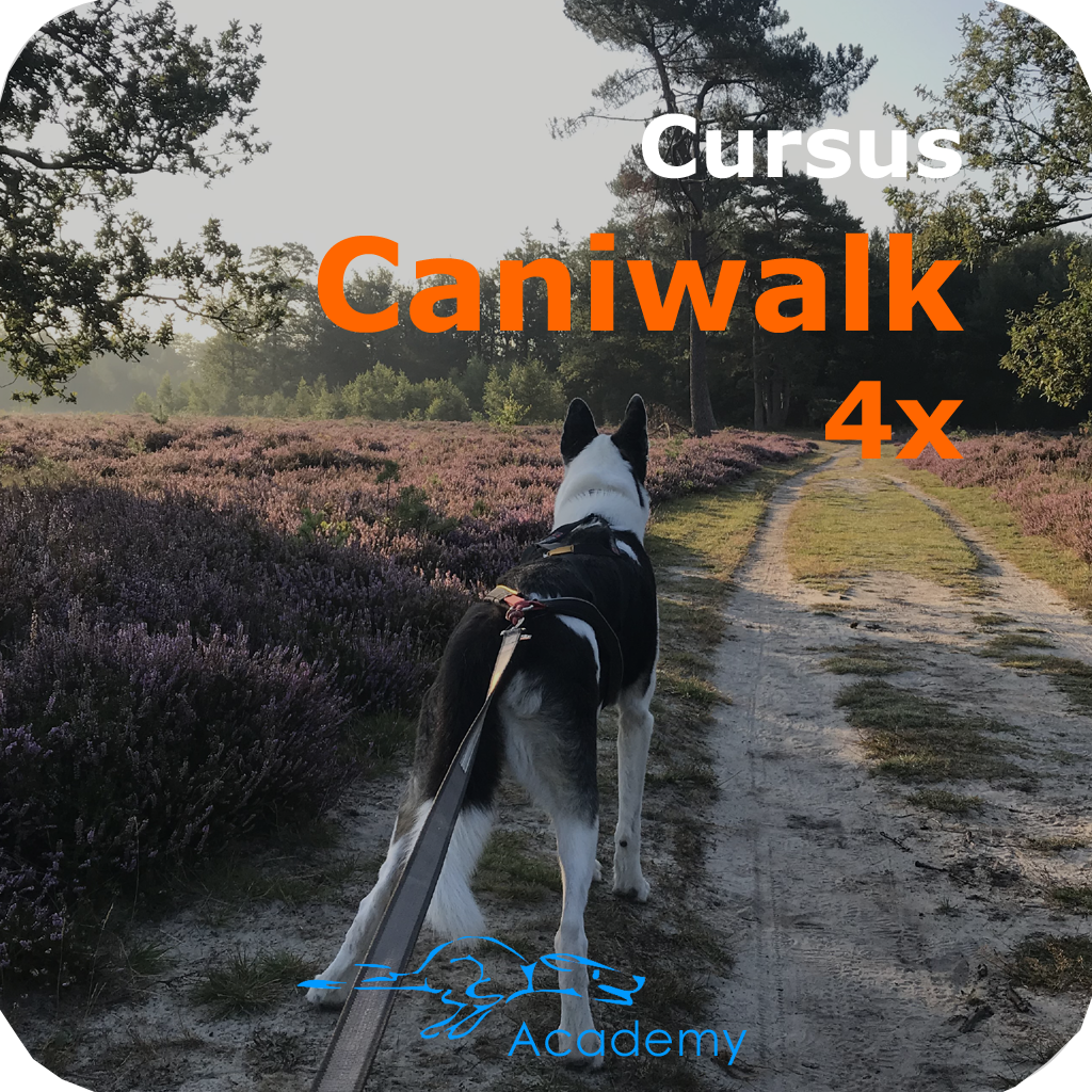 Cursus Caniwalk