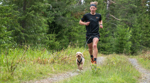 Kun je met iedere hond canicrossen of canitrailen?