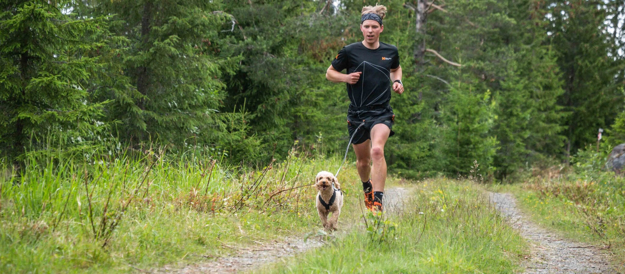 Kun je met iedere hond canicrossen of canitrailen?