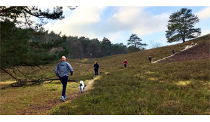 Canicross of canitrail: wat is het verschil?