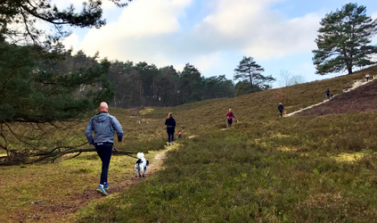 Canicross of canitrail: wat is het verschil?