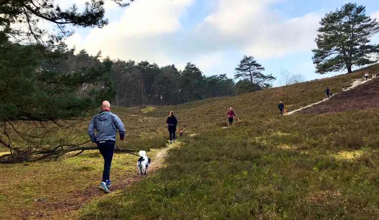 Canicross of canitrail: wat is het verschil?