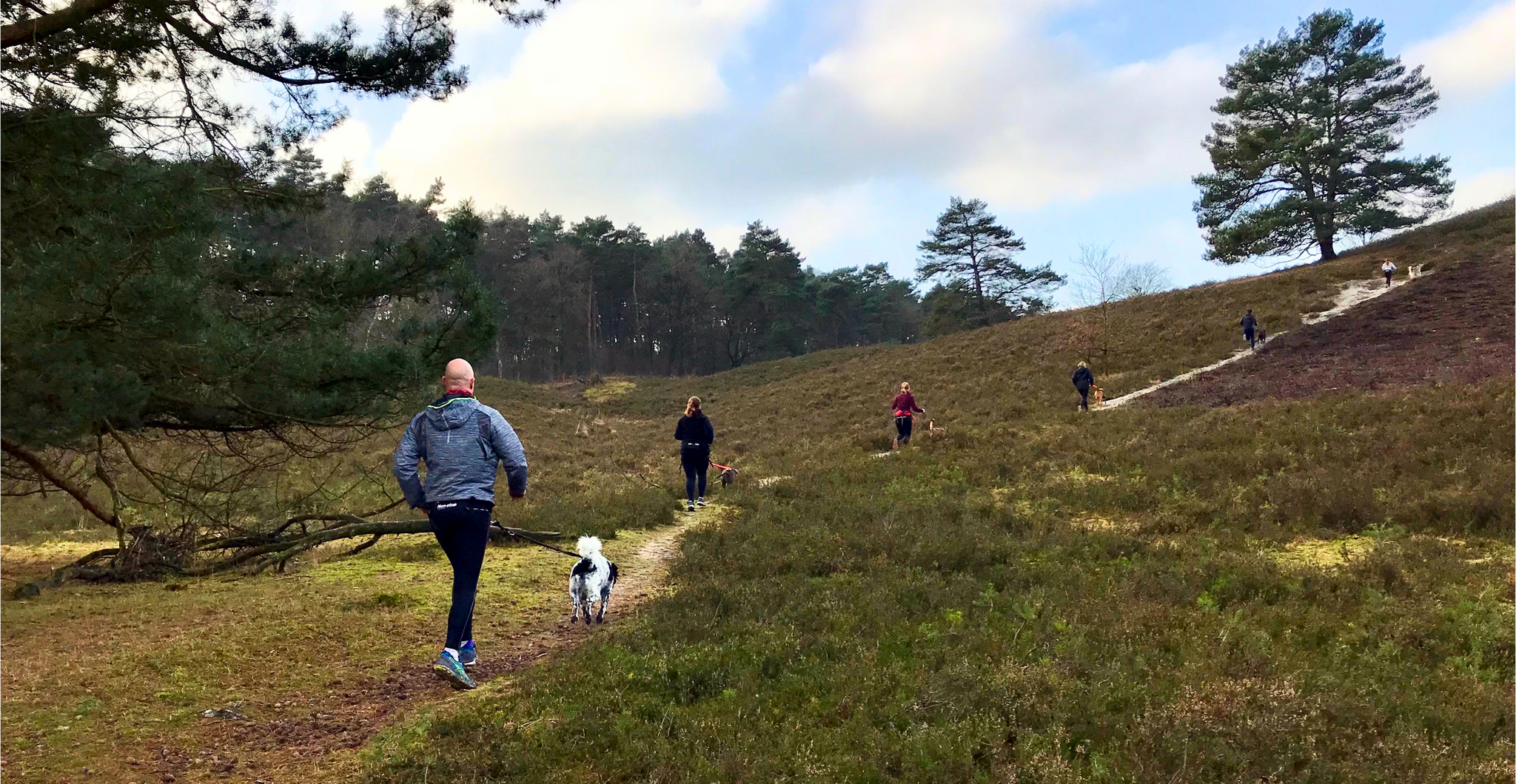 Canicross of canitrail: wat is het verschil?