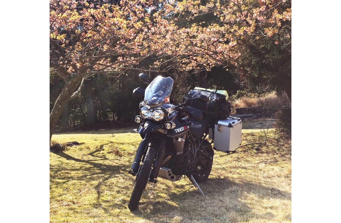 BUMOT pannierframe voor Triumph Tiger 800 series