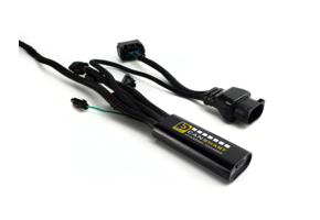 DENALI CANsmart controller GEN II - BMW F650GS & F700GS & F800GS/GSA