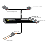DENALI CANsmart-controller GEN II - BMW R1300GS '24-