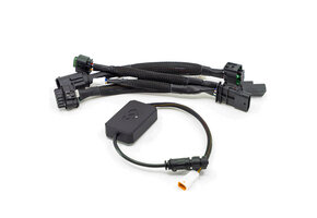 Thork Racing - DMD BMW Sync Box