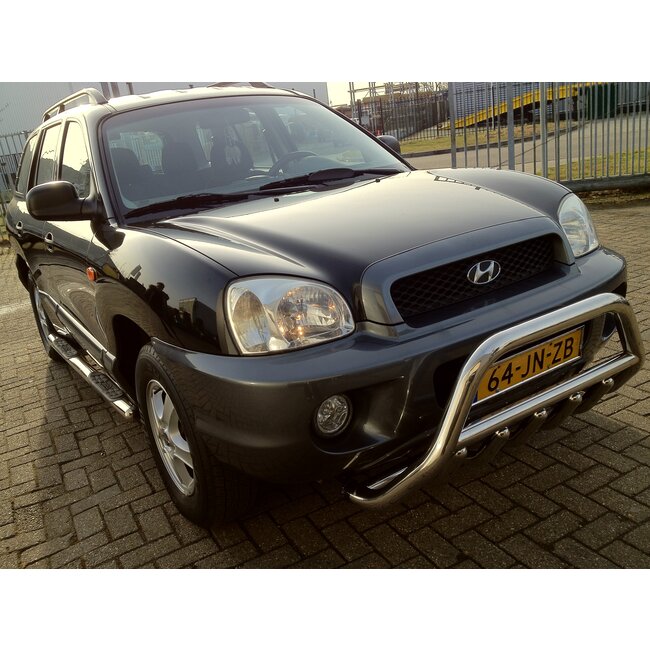 Hyundai Tucson Pushbar met carterbeschermer