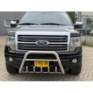 Ford F150 Pushbar Bullbar