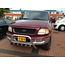 Ford F150 Pushbar Bullbar