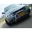 Kia Carnival Pushbar Bullbar