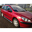 Peugeot 307 308 Sidebars met traanplaat