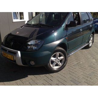 Renault Scenic Sidebars met rvs trede