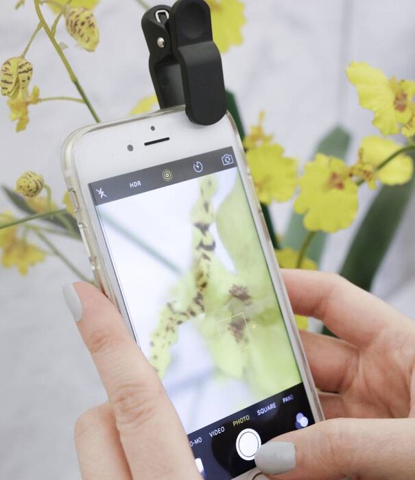 Kikkerland clip lens set for mobile phone