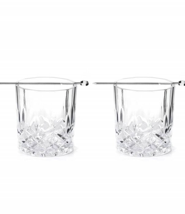 Kikkerland whiskey tumbler - set