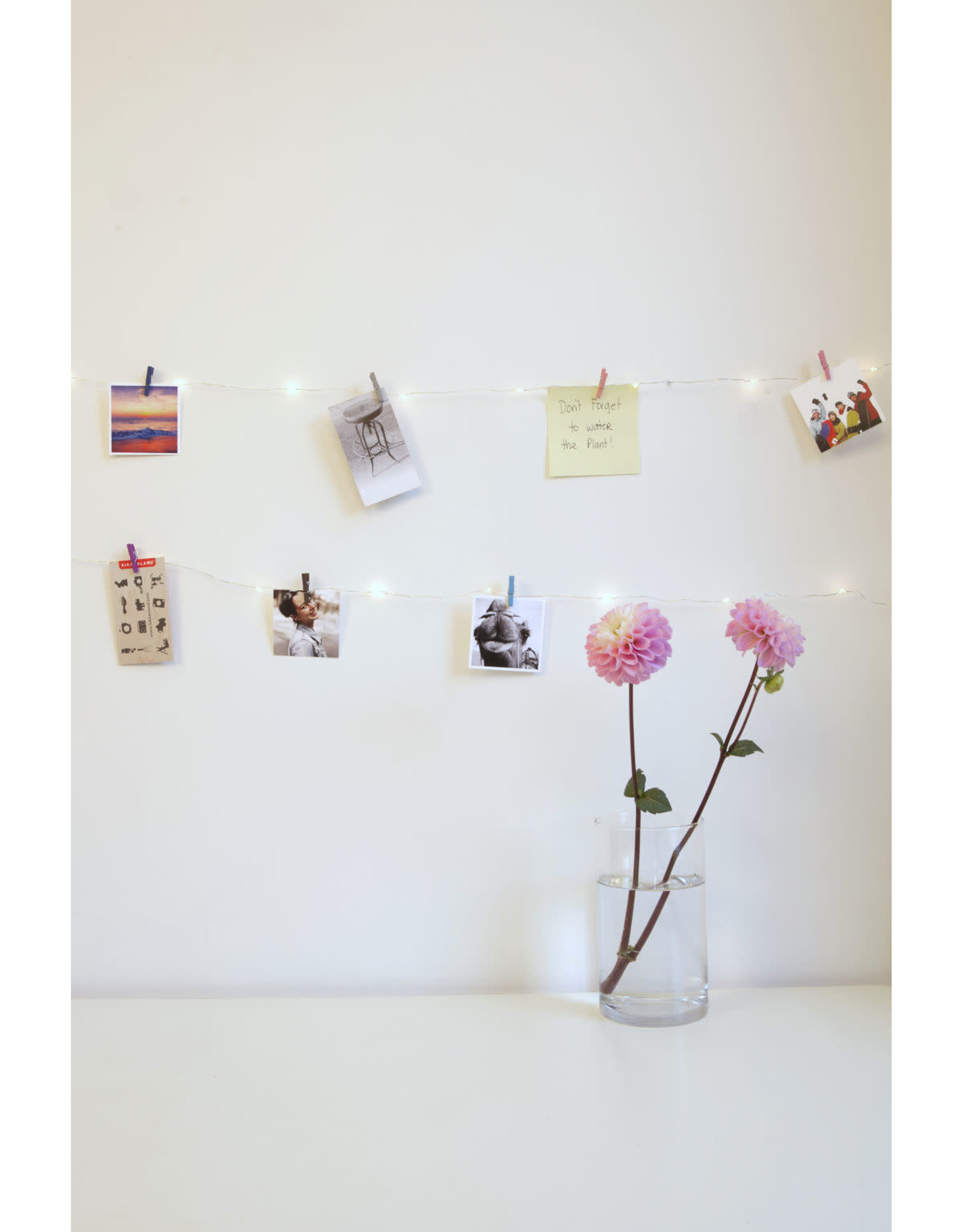 light string photo clips (rainbow) JELLY JAZZ JELLY JAZZ