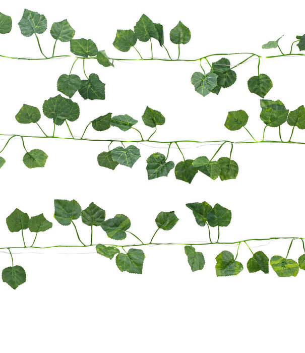 Kikkerland green string lights - ivy