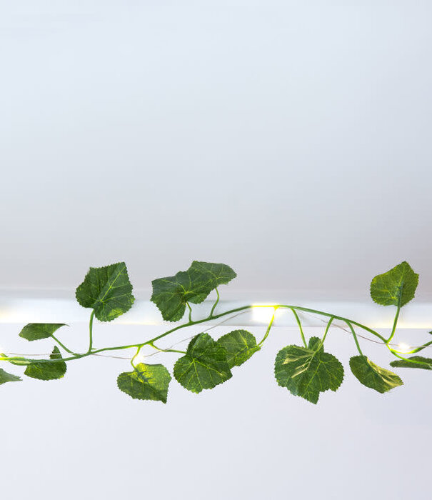 Kikkerland green string lights - ivy