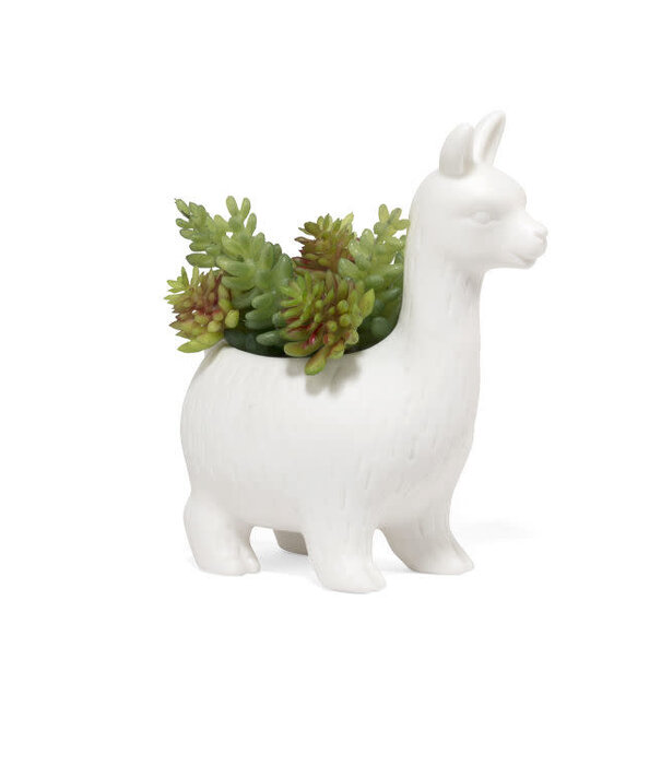 Kikkerland flower pot - llama